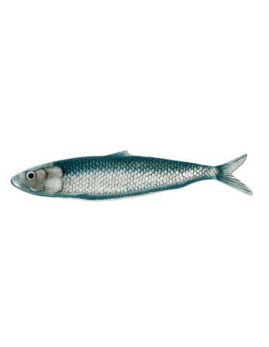 Plato de sardina azul cristalino