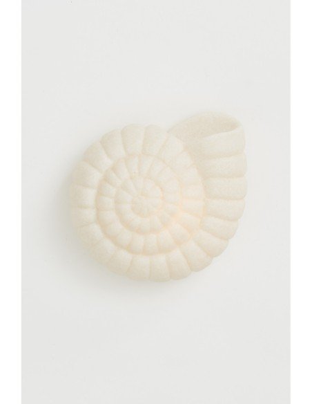 Lámpara de caracola