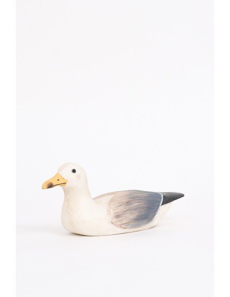 Gaviota blanca marina 
