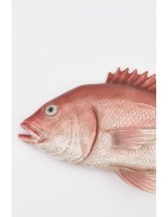 Pez colgante rojo  2