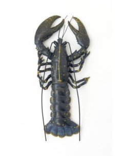 Langosta negra de resina 