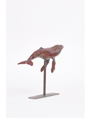  Ballena navy 