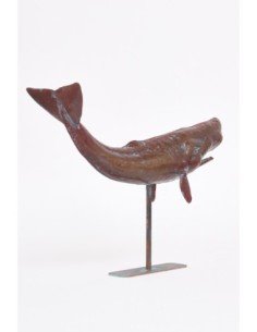 Ballena marrón grande  2