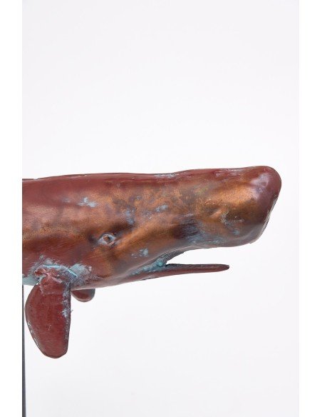  Ballena marrón navy 