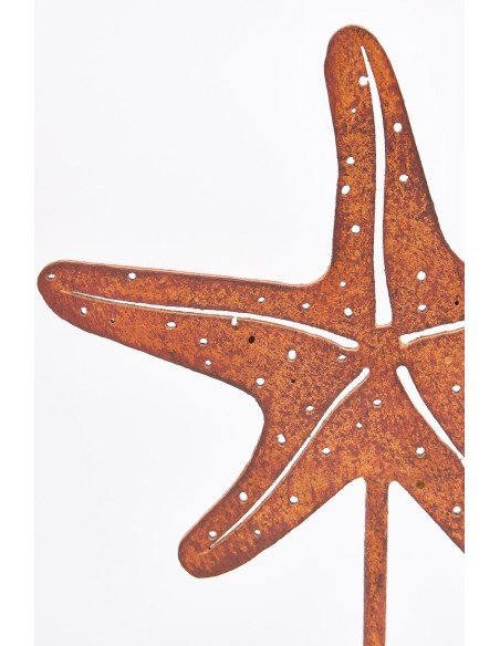  Estrella de mar decorativa 