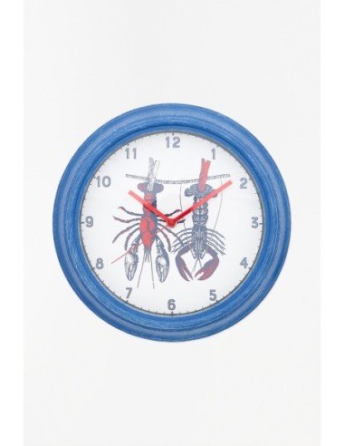 Reloj marino de langosta 