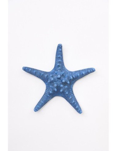  Estrella de mar azulino 