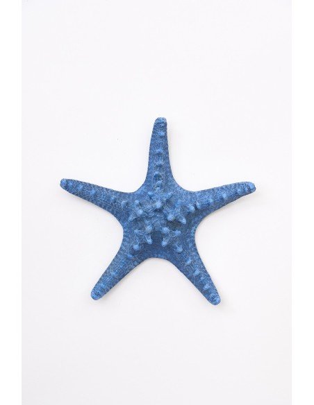  Estrella de mar azulino 