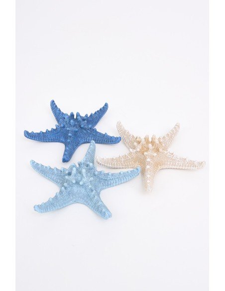  Conjunto de estrellas marinas 