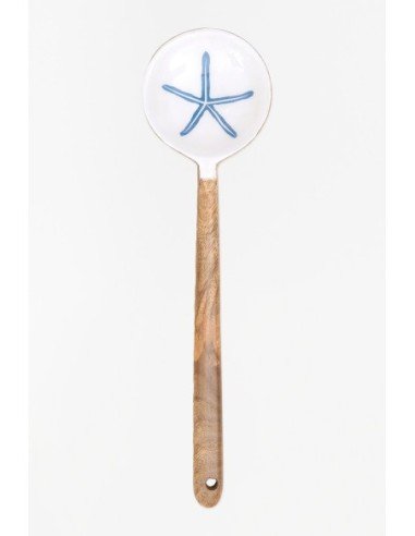  Cuchara estrella de mar 