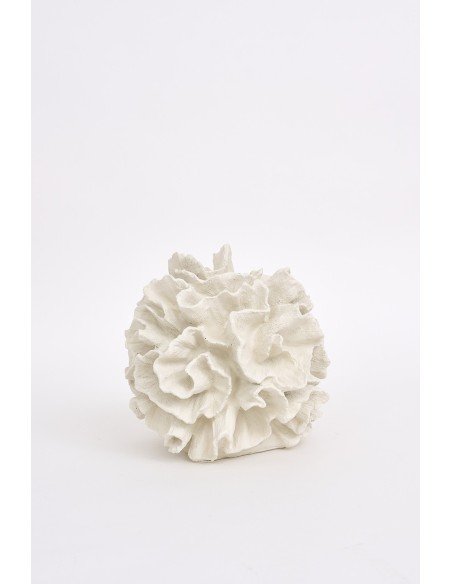  Coral decorativo 