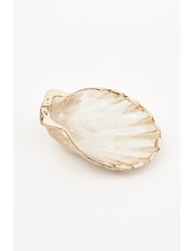  Plato de concha blanca 