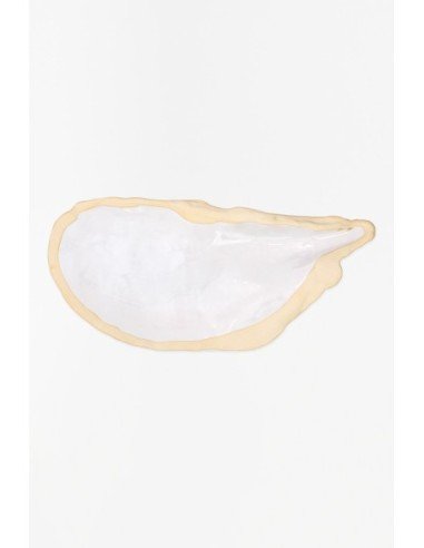 Ostra blanca de cerámica 