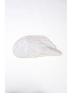 Ostra blanca de cerámica  2