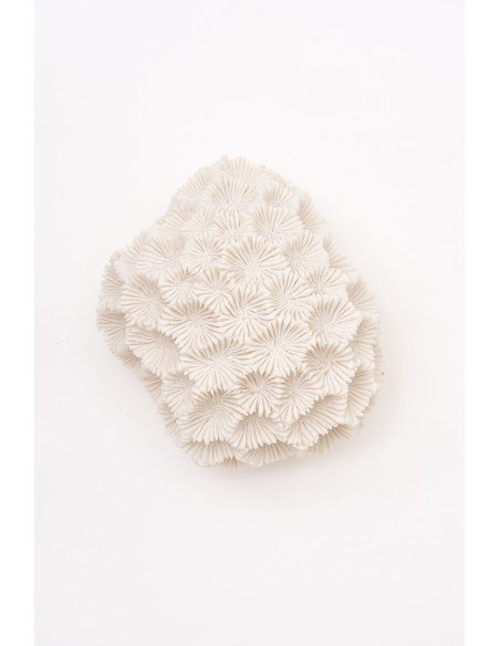 Lámpara diseño de coral marino