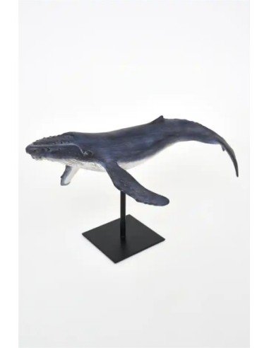  ballena jorobada con soporte 