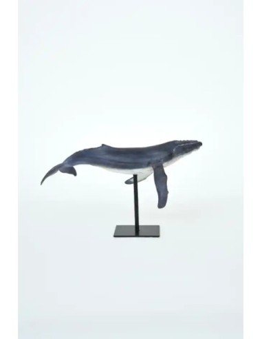  ballena jorobada con soporte