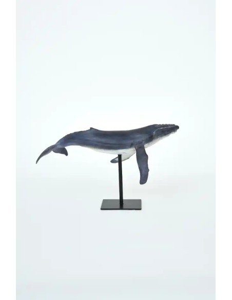 ballena jorobada con soporte