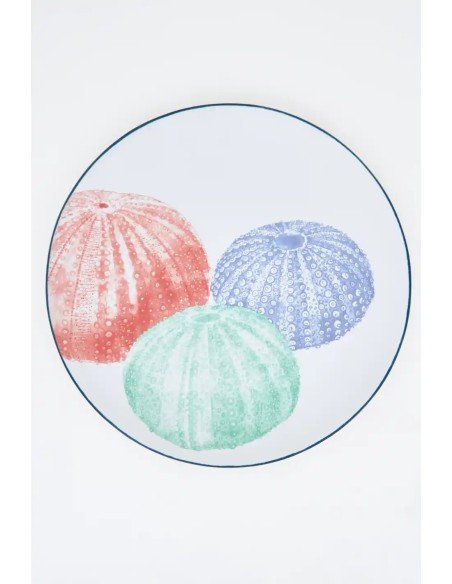 plato grande gres erizos 