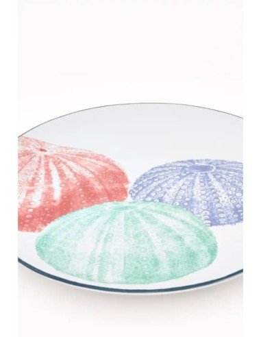 plato grande gres erizos 
