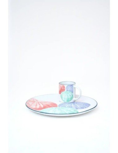  plato grande gres erizos 