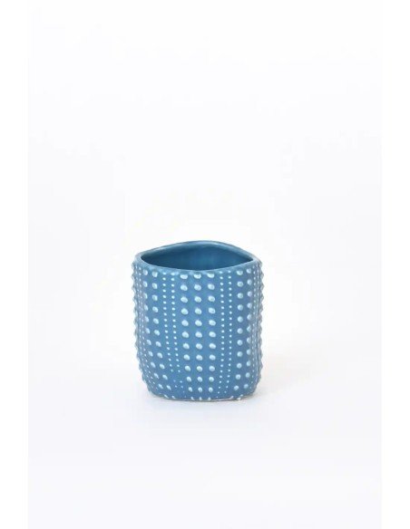  taza café erizo de mar 