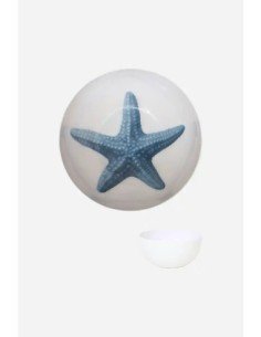 cuenco estrella de mar 