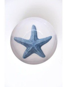 cuenco estrella de mar  2