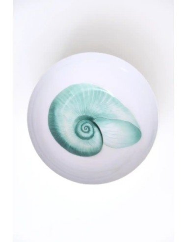  cuenco nautilo 