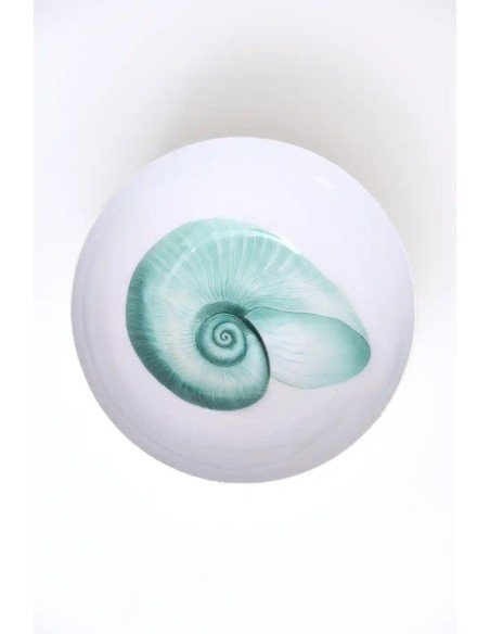  cuenco nautilo 