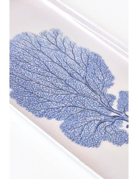  gorgonia azul 