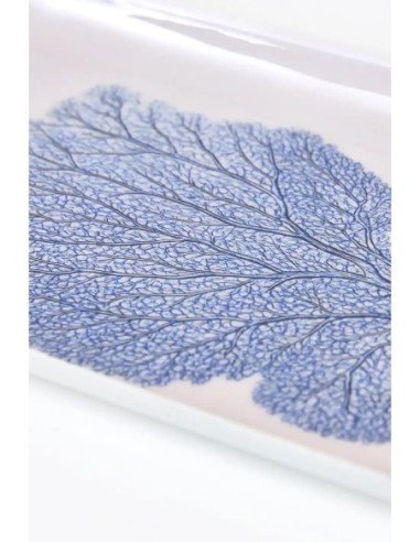 gorgonia azul 