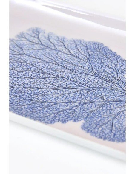  gorgonia azul 