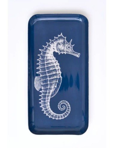caballito de mar 