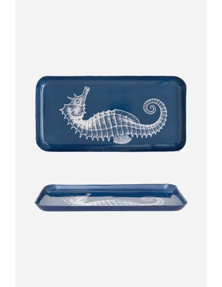  caballito de mar 