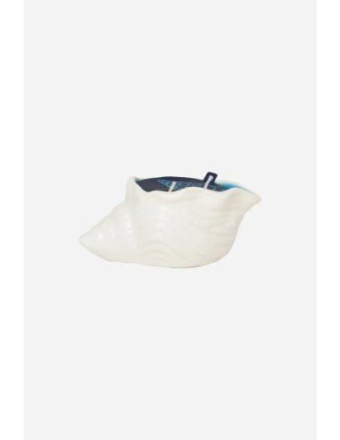  vela concha blanca 