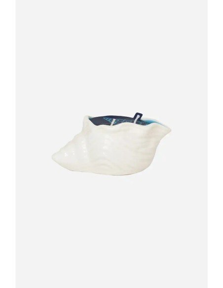 vela concha blanca 