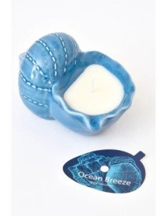 vela concha azul grande 