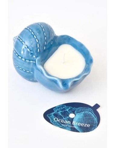 vela concha azul grande 