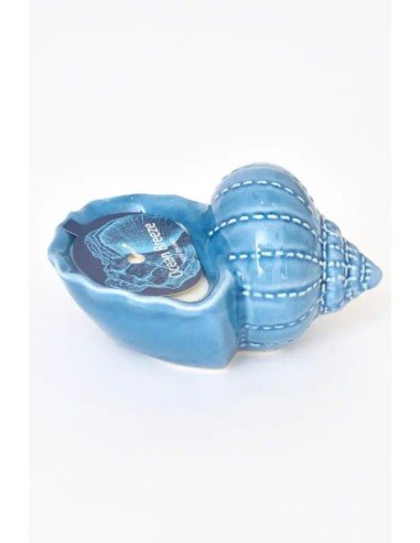  vela concha azul grande 