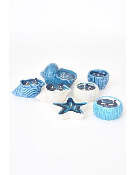  vela concha azul