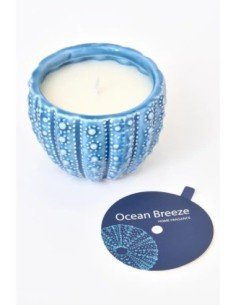 vela azul marino erizo de mar 
