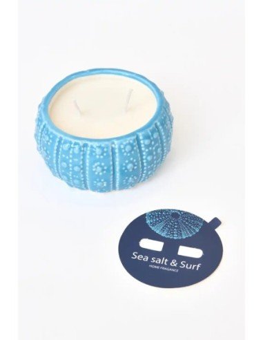 vela erizo de mar azul 