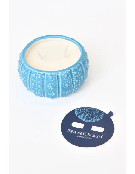 vela erizo de mar azul 