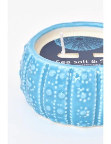  vela erizo de mar azul 