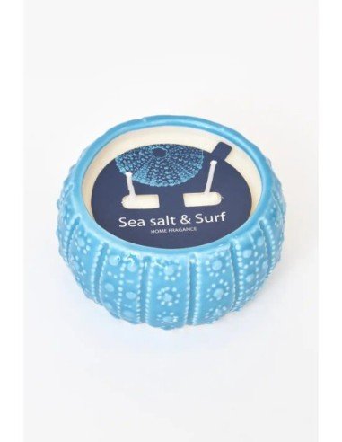  vela erizo de mar azul 