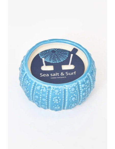  vela erizo de mar azul 