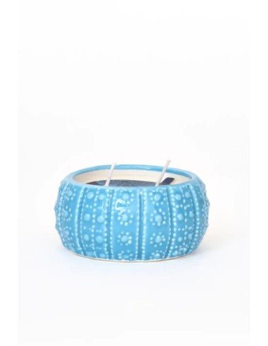  vela erizo de mar azul 