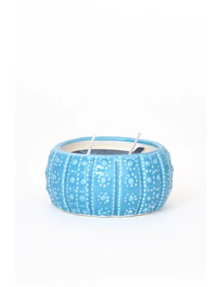  vela erizo de mar azul 
