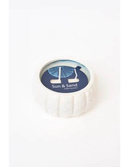  vela erizo de mar blanca 